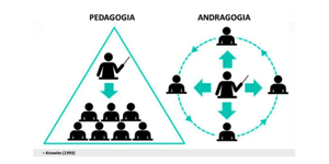 Andragogia